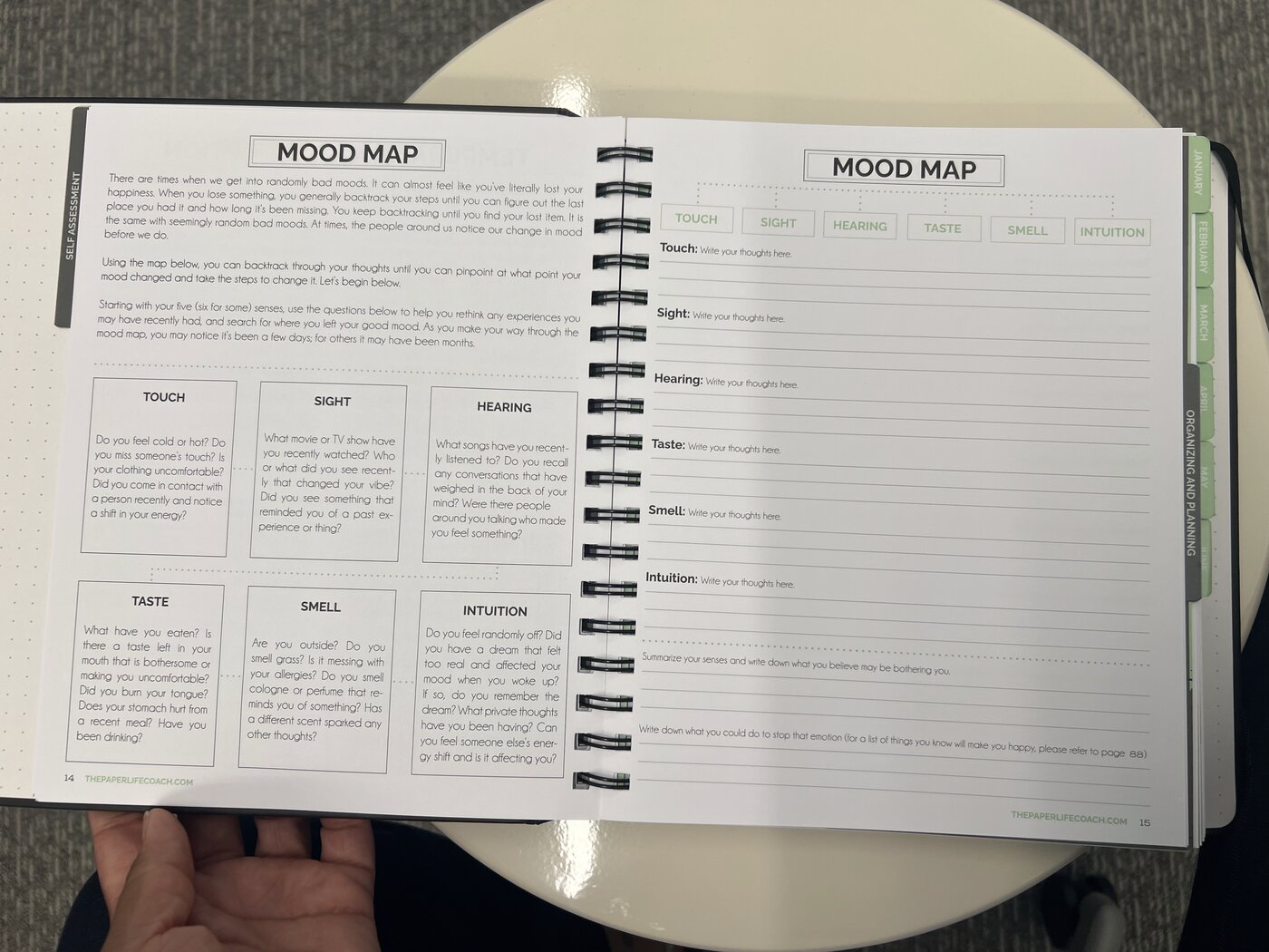 Mood Map spread inside The Paper Life Coach